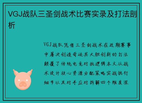 VGJ战队三圣剑战术比赛实录及打法剖析