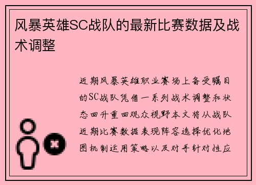 风暴英雄SC战队的最新比赛数据及战术调整